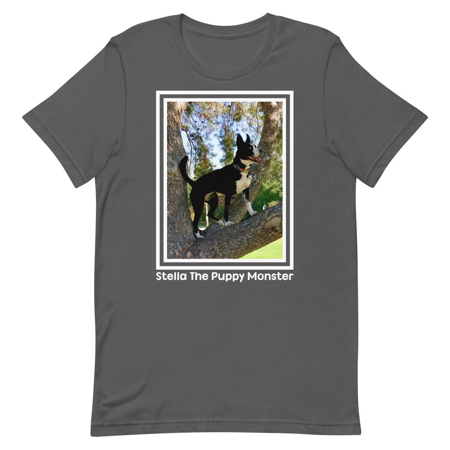 Stella the Squirrel Whisperer - Unisex Cotton Tee